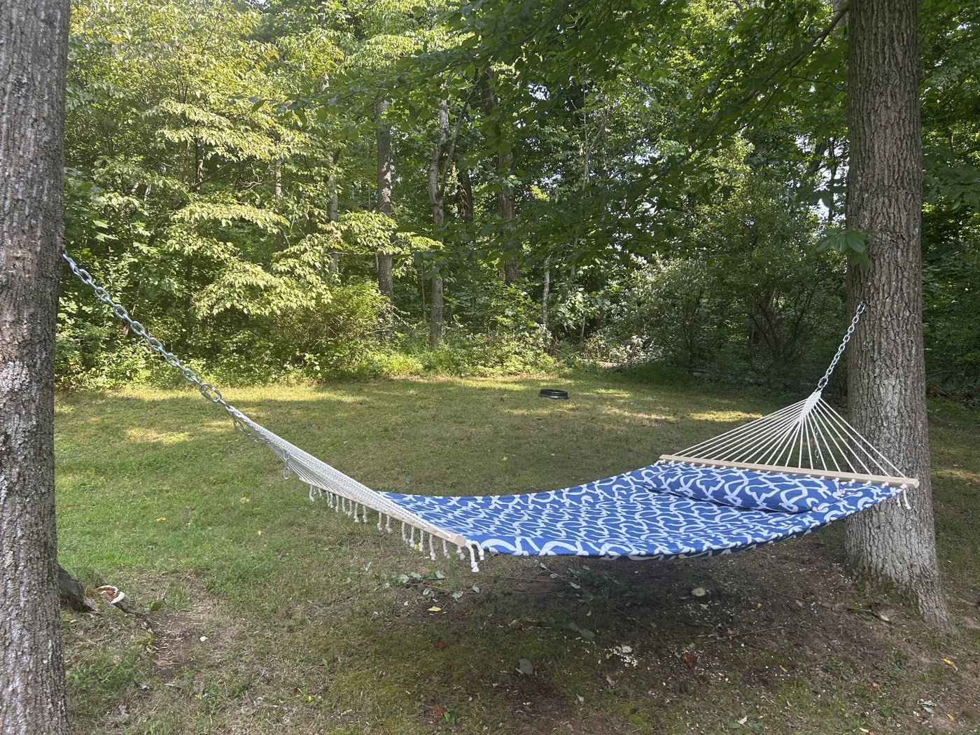 Blue-patterned hammock strung between trees on the wooded lawn behind the cottage