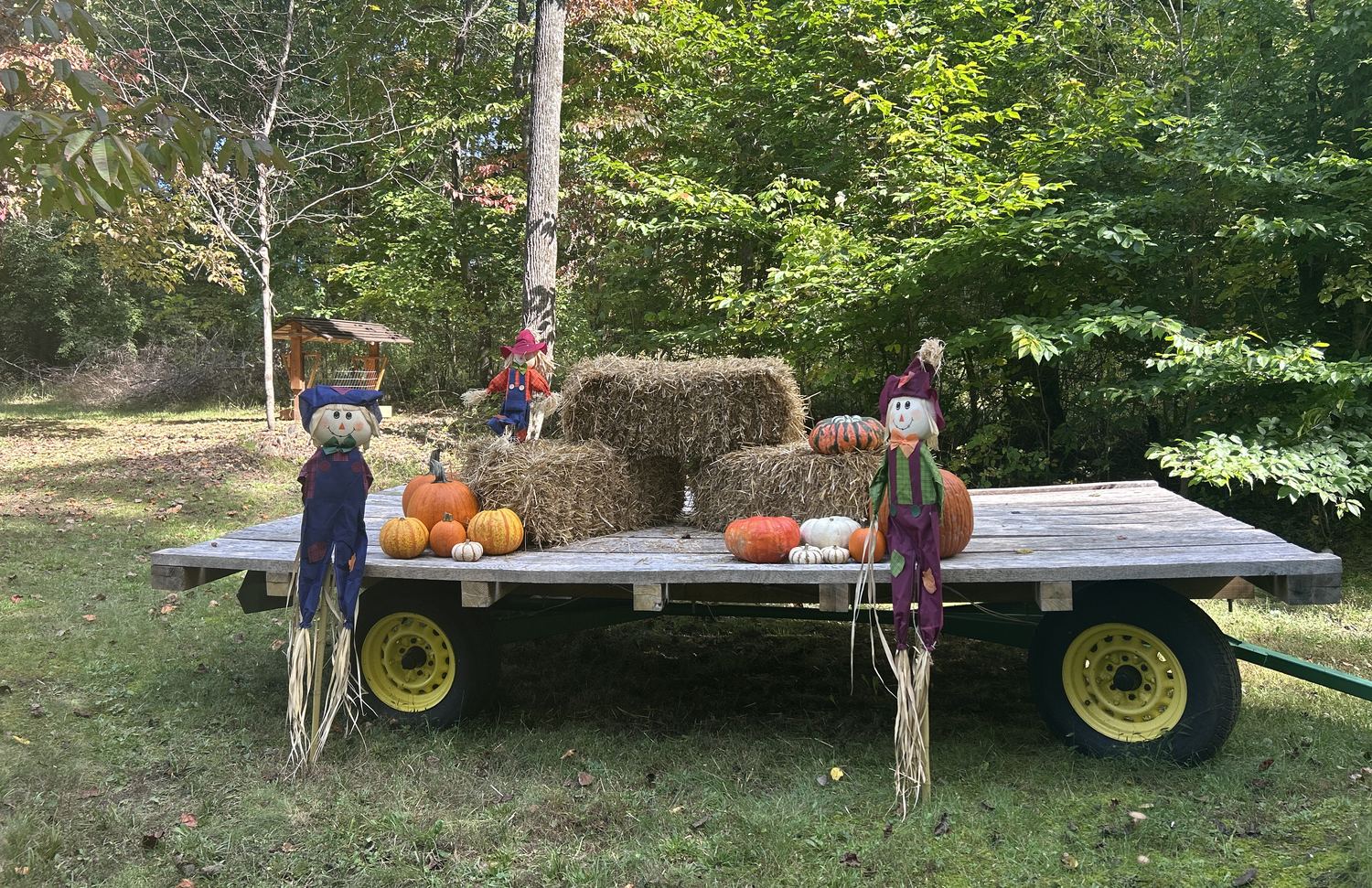 The restored 1965 hay wagon dressed for fall &mdash; straw bales, pumpkins and gourds on the plank deck and three scarecrows, ready for photos on the lawn under the trees