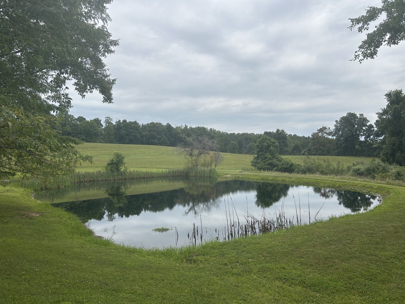 The pond set into a wide green meadow with rolling wooded hills beyond