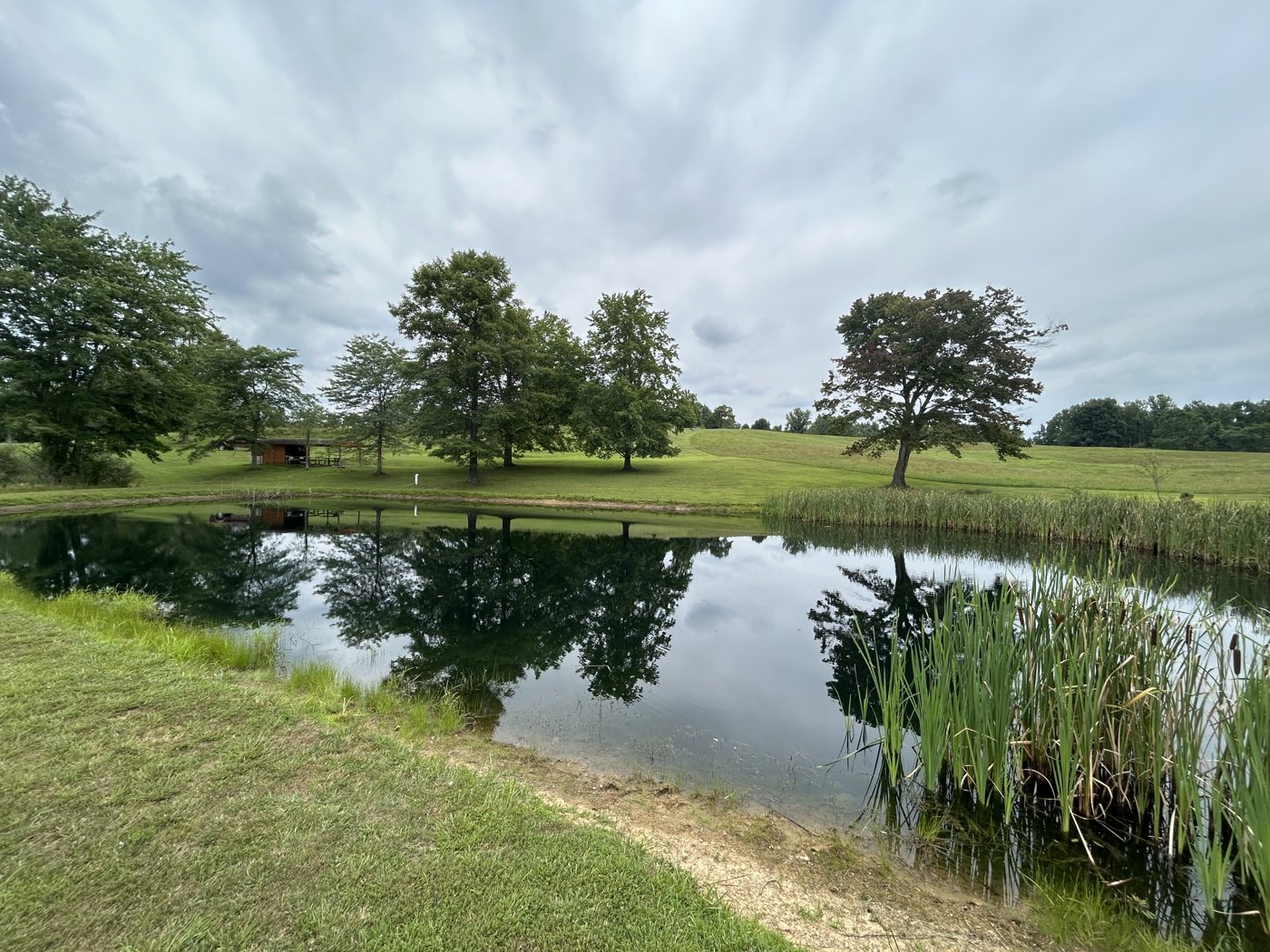 Private fishing pond with trees and cattails mirrored in the still water on the family's adjoining land